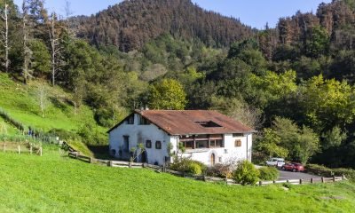 5024c50dc5a30580250ca5239812517c6356e4d3