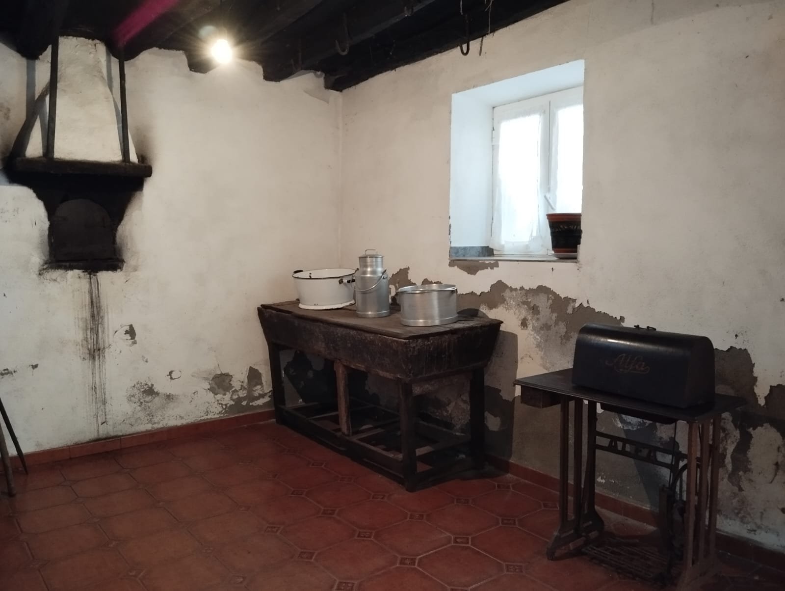 Imagen-de-WhatsApp-2025-09-28-a-las-19.05.12_661a5e04