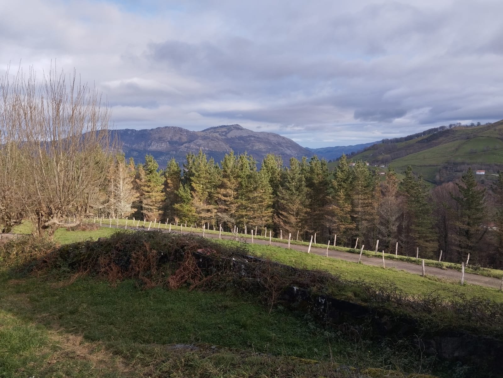 Imagen-de-WhatsApp-2025-09-28-a-las-19.05.13_78a3c2cf