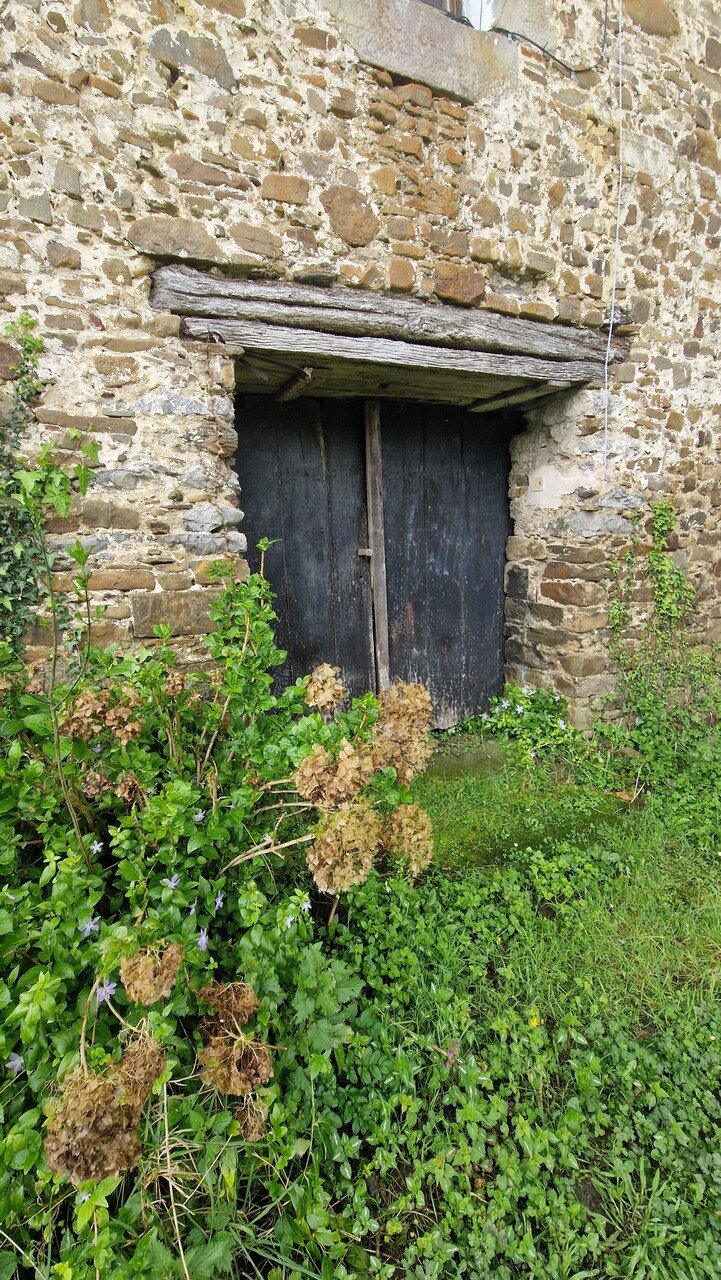argazki_kortaatea_Easy-Resize.com_