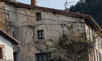 inbound8570886645636402441